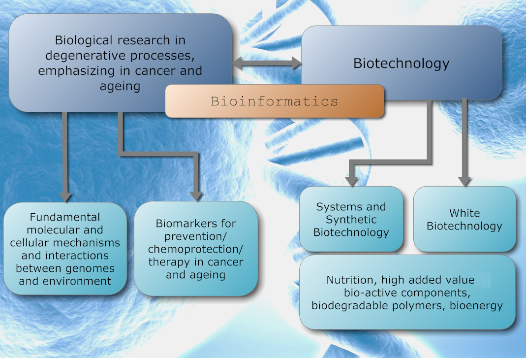 what-are-the-importance-of-biotechnology-why-is-biotechnology