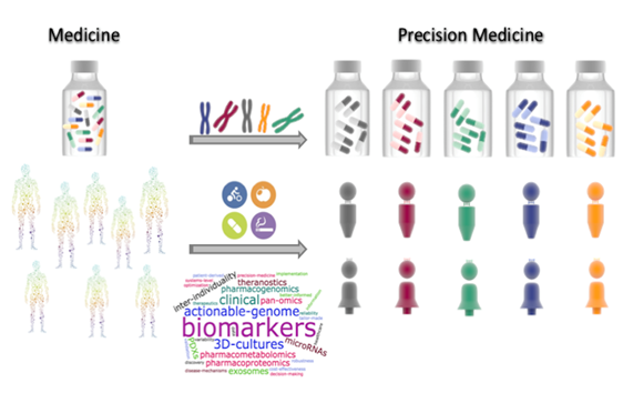 IBMCB - Biomarker Discovery & Translational Research