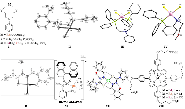 Transition-metal homogeneous catalysis